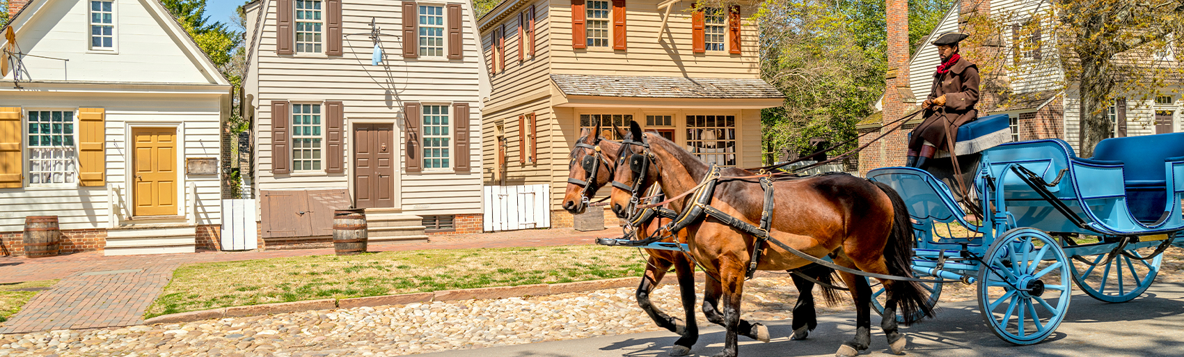  Most Fun Carriage Tours Columbia, SC