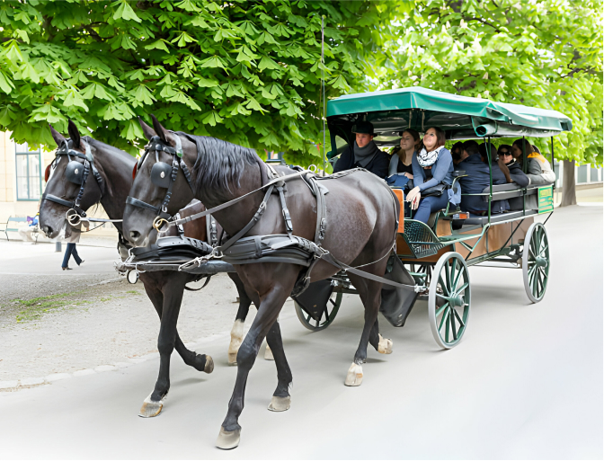  Group Carriage Rides Columbia, SC