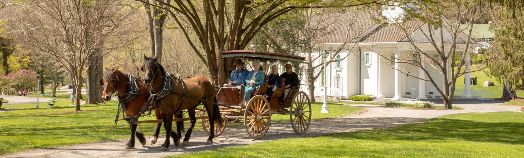  Carriage Ride
Company Seabrook Island, SC