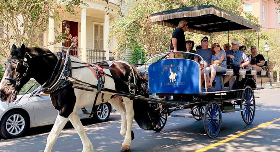  Carriage Ride
Company Columbia, SC