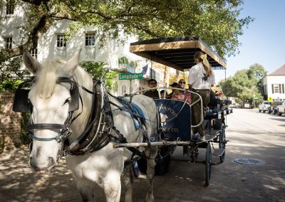 carriage tours 13