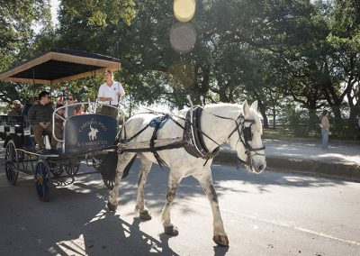 carriage tours 17