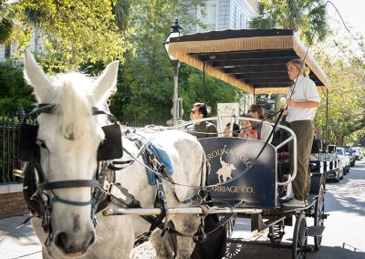 carriage tours 30