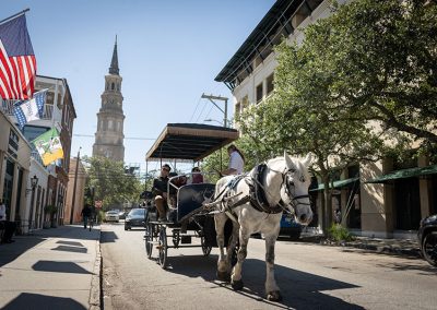 carriage tours 50