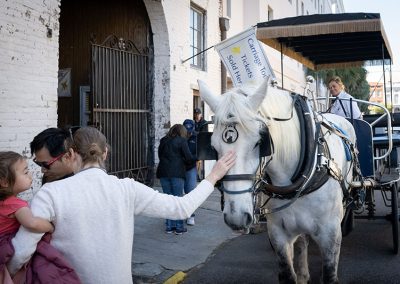 carriage tours 51